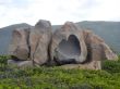 capo pecora16.jpg